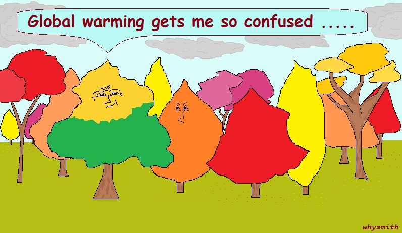 Autumn Trees