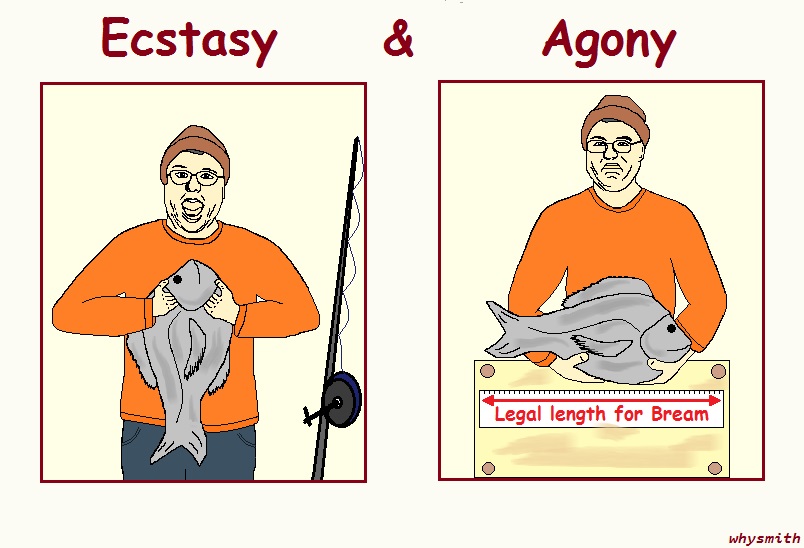 Ecstasy and Agony