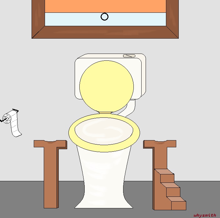 The Combo Toilet