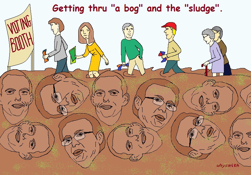 Voting sludge